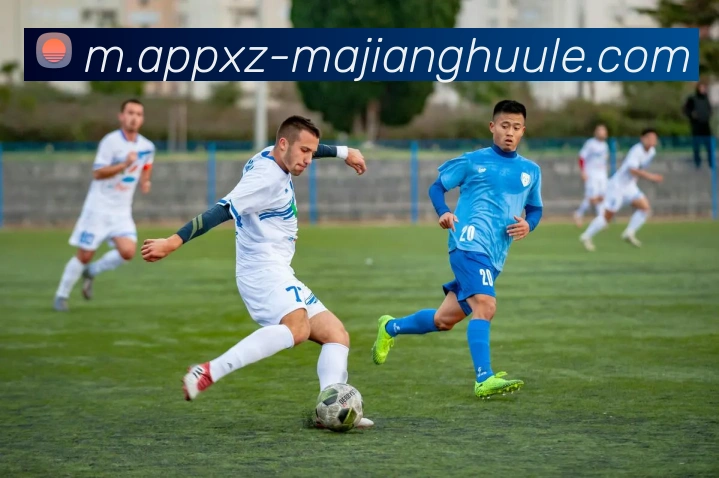 麻将胡了平台生态图